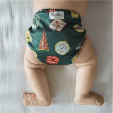 Attēlu rezultāti vaicājumam “Diaperis boleti imago”