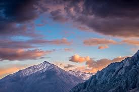 Image result for Clyde Valley Predators