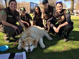 Image result for Silsden Park Rangers