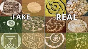 Image result for crop circles