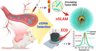 Image result for *X68CHer|http://www.bcpark.net/bbs/317697