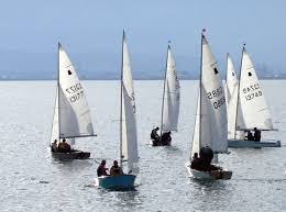 Image result for Dovey Yacht Club