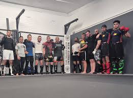 Image result for Full Element Mixed Martial Arts