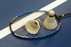 Image result for Phoenix Junior Badminton Club