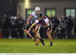 Image result for University Of Limerick Gaa Hurling Club