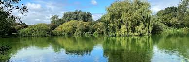 Image result for Cobham Court Angling Club