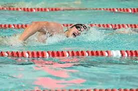 Image result for Ware Swimming Club