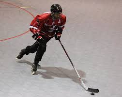 Image result for Urban Knights Inline Roller Hockey