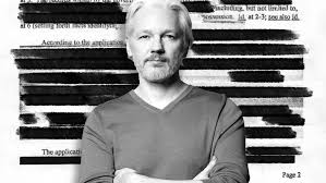 Image result for julian assange
