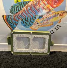 Image result for ytong ants