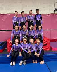 Image result for Cardiff Olympic Gymnastics Club