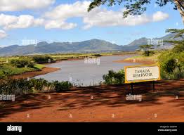 Image result for tanada