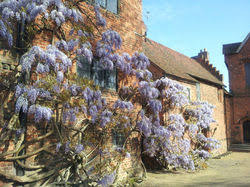 Image result for Hatfield House Tennis Club