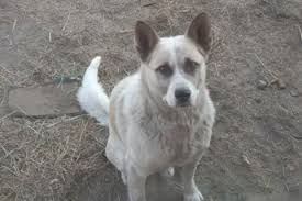 Image result for site:buyreklama.ru/*