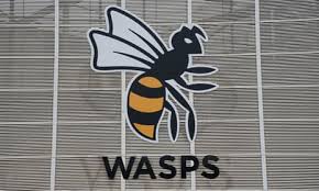 Image result for Wasps Football Club