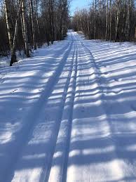Image result for Lakeland Cross Country Ski Club