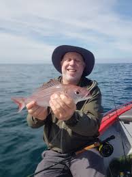 Image result for Polysteganus undulosus