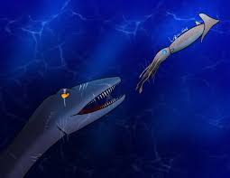 Attēlu rezultāti vaicājumam “Endoceras”