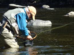 Image result for Thames Valley Angling