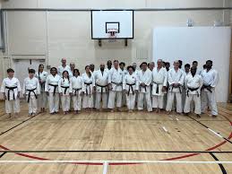 Image result for Wanstead JuJitsu Club