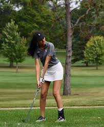 Image result for Palatine Veterans Club