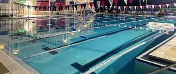 Image result for Leek Swimming Club