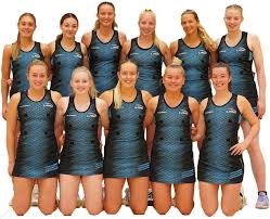 Image result for Elmbridge Netball Club
