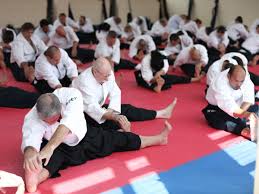 Image result for Aikido - Shobu UK