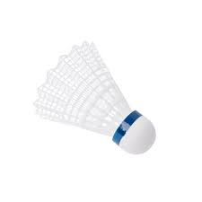 Image result for Shuttles (Brentford) Badminton Club