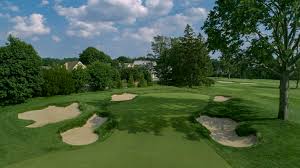 Image result for The Alt Golf Club