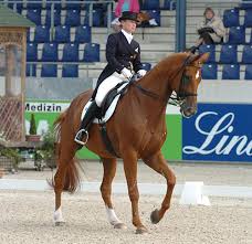 Image result for wiedenmann tehron