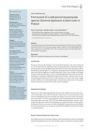 Attēlu rezultāti vaicājumam “Dianema depressum macro”