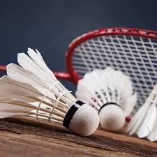 Image result for Hawkshaw St Marys Badminton Club