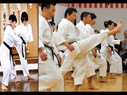 Image result for Junsui Shotokan Karate Do
