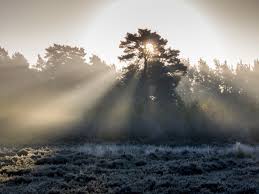 Image result for Surrey Bowmen