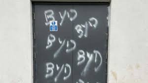 Image result for Ballymena Vandals