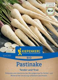 Image result for Pastinake