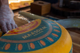 Image result for maasdammer