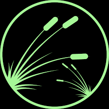 Attēlu rezultāti vaicājumam “Hymenostylium recurvirostrum”