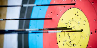 Image result for Blue Arrows Archery Club