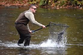 Image result for Bollington & Royal Oak Angling Society