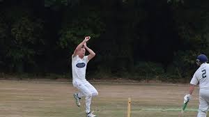 Image result for Bere Regis Cricket Club