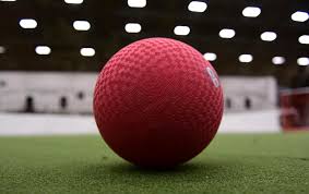 Image result for Berkshire Royals Dodgeball Club