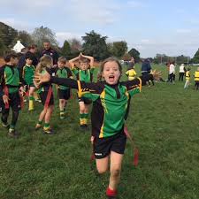 Image result for Effingham and Leatherhead Rfc