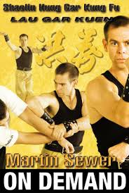 Image result for Hung Kuen School Of Shaolin Kung Fu