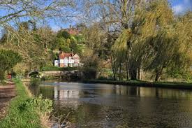 Image result for Savate Uk (Guildford)