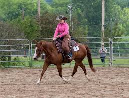 Image result for horse girl gun