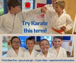 Image result for Colchester Shotokan Karate Club