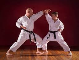 Image result for Newcastle Aikido Club
