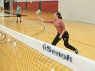 Image result for Chalfont Gut & Feather Badminton Club